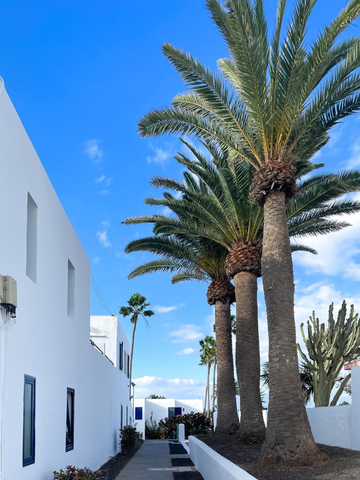 Barqueros Beach By Best Holidays Fuerteventura Corralejo Zewnętrze zdjęcie
